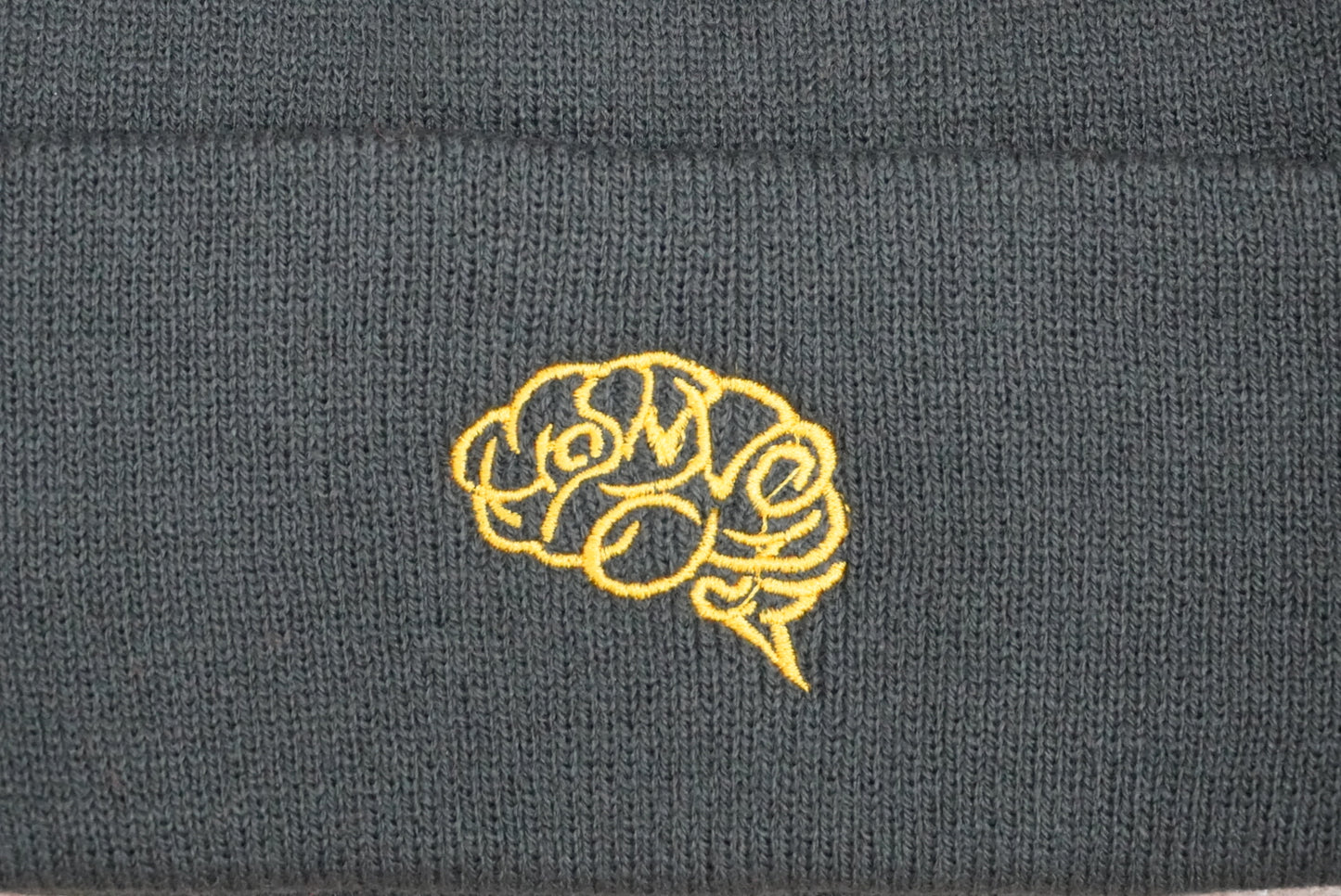 HP BRAIN BEANIE(DARK GRAY)