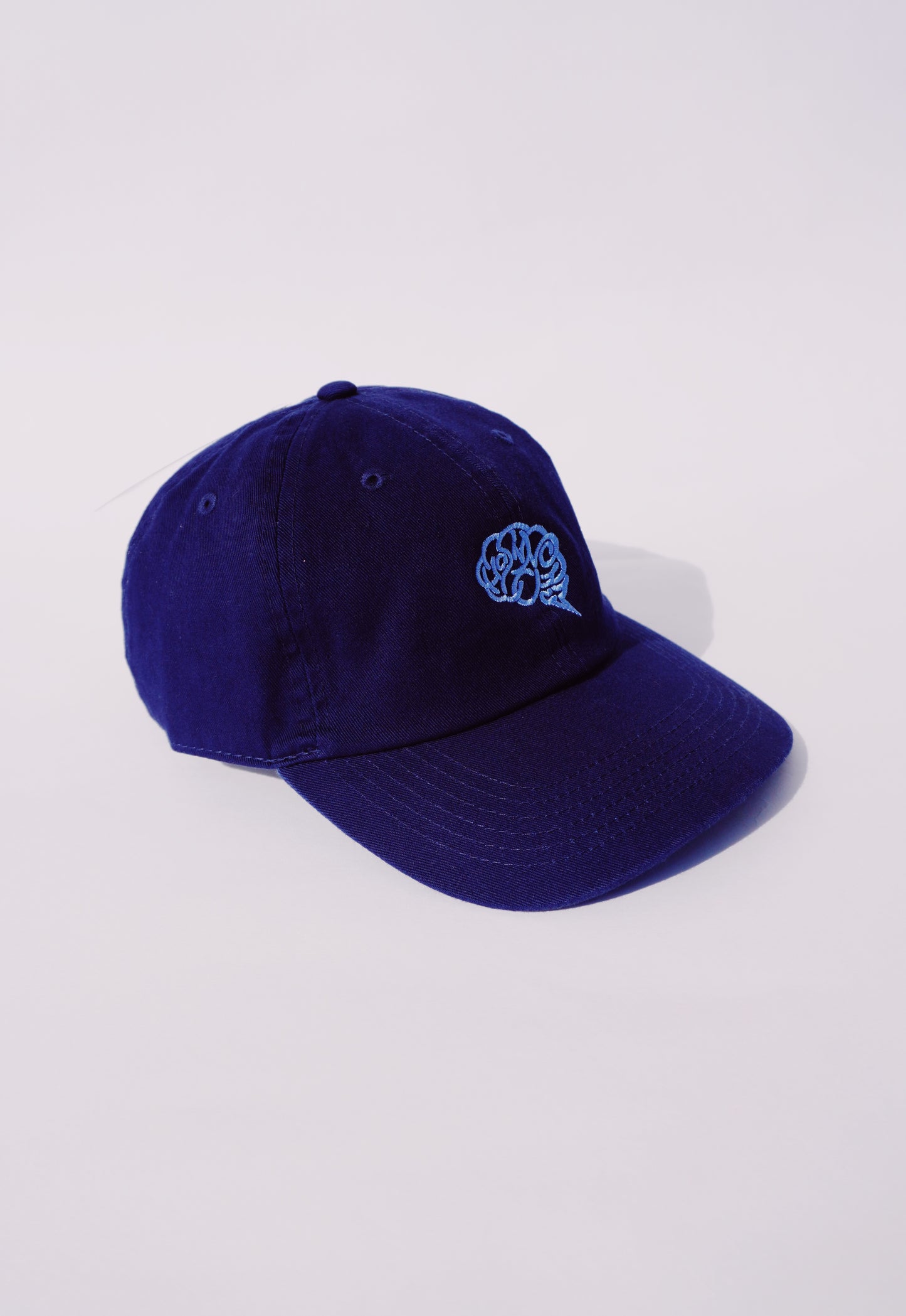 BRAIN BB CAP(NAVY)