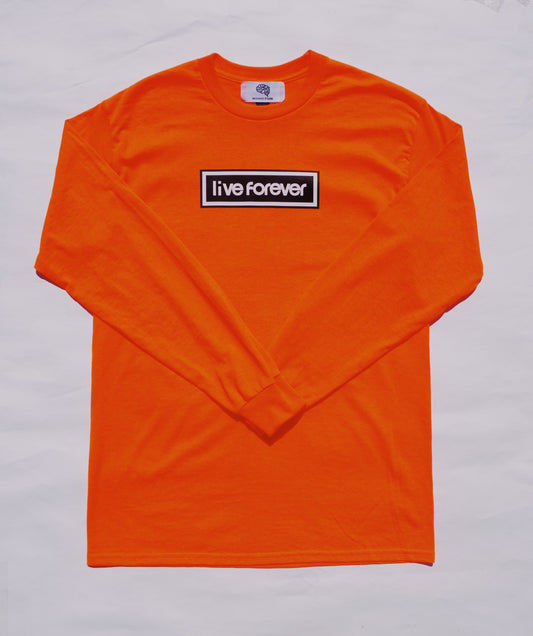 HISTORY L/S Tee (SUNNY ORANGE)